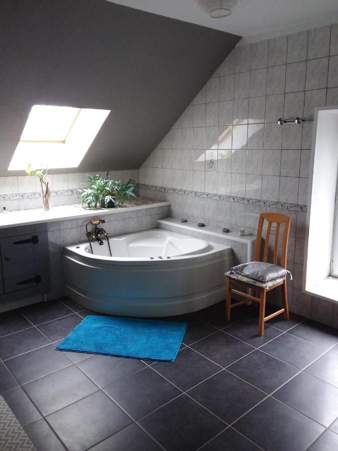 Gite De La Maison Bleue Villa Mirandol-Bourgnounac Luaran gambar
